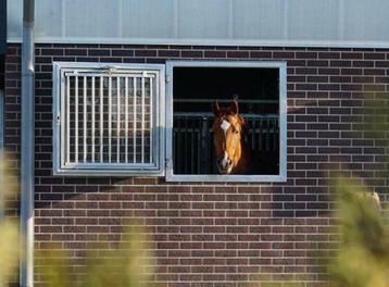 66 Stalraam | Thermisch verzinkte stalramen | stalraam paard beschikbaar voor biedingen