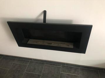 Kratki wandhaard / sfeerhaard beschikbaar voor biedingen
