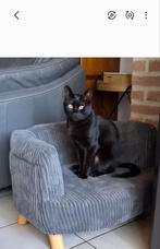 Kattenmand/hondenmand. Afm zie foto's. Niet gebruikt, Ophalen