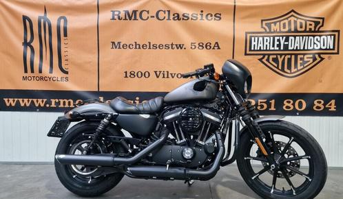 Harley-Davidson Chopper SPORTSTER - IRON 883, Motos, Motos | Harley-Davidson, Entreprise, Autre