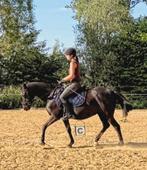 Dressuur lesgeefster, Débourré, Cheval de dressage