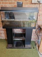 Juwel aquarium met voet en filter, Animaux & Accessoires, Poissons | Aquariums & Accessoires, Enlèvement, Utilisé, Aquarium d'eau douce rempli