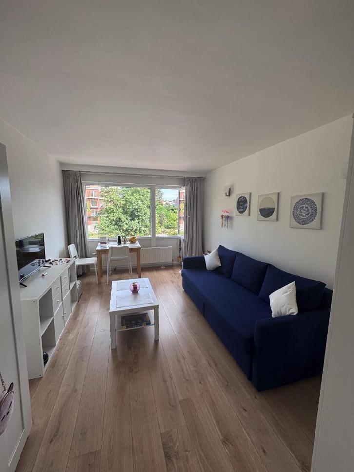 Gemeubileerde studio te huur in Woluwé-Saint-Lambert, Immo, Appartementen en Studio's te huur, Brussel, 20 tot 35 m²