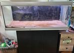 Aquarium 130cm - Landgraaf NL, Dieren en Toebehoren, Ophalen, Gebruikt, Verlichting