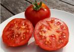 5 graines de tomate belge Roem van Mechelen, Jardin & Terrasse, Graine, Printemps, Envoi
