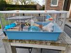 Mooie, grote hamsterkooi, Dieren en Toebehoren, Ophalen, Gebruikt, Kooi, Hamster