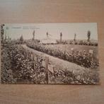 Poelkapelle, Enlèvement ou Envoi