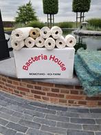 Bacterie House v Momotaro, Ophalen, Nieuw
