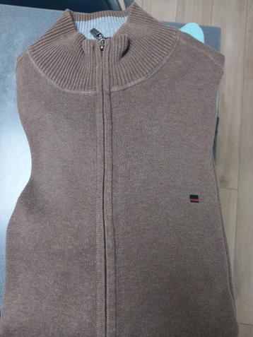 Truien L - XL - XXL beschikbaar voor biedingen