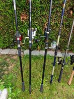 16 vishengels, compleet., Watersport en Boten, Hengelsport | Algemeen, Ophalen, Zo goed als nieuw, Complete hengel