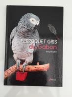 Perroquet Gris du Gabon, Ophalen of Verzenden, Nieuw, Vogels