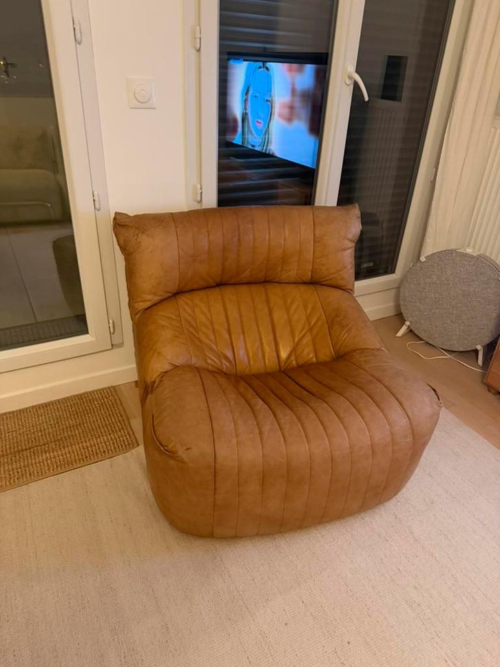 Ligne Roset Aralia fauteuil bruin leer, Huis en Inrichting, Zitzakken, Gebruikt, Zitzakstoel, Bruin, Ophalen of Verzenden