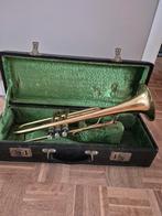 trompet amati kraslice, Muziek en Instrumenten, Ophalen