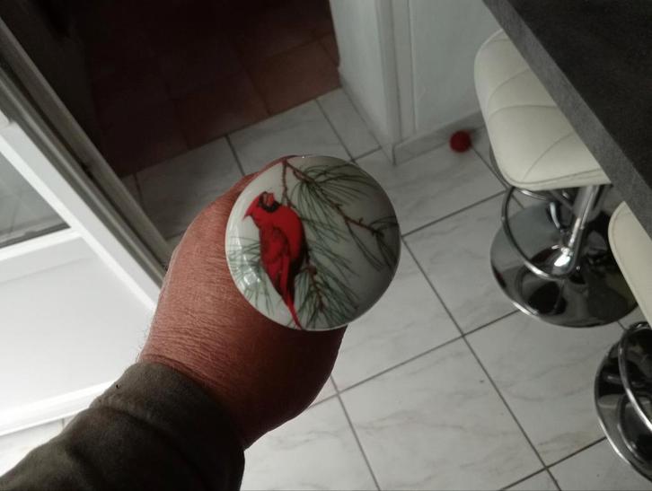 Canne pommeau en porcelaine ( oiseau), Antiquités & Art, Curiosités & Brocante