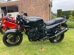 Triumph speed triple 1994, Particulier, Naked bike