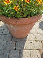 terracotta pot, Tuin en Terras, Ophalen, Zo goed als nieuw, Terracotta, Tuin