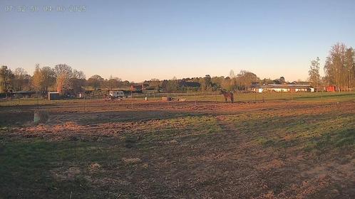 Weideplekje te huur, Dieren en Toebehoren, Stalling en Weidegang