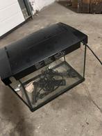Aquarium 20 L complet – Pompe, chauffage et décoration, Ophalen, Zo goed als nieuw