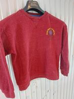 Trui tumble 'n dry 134, Kinderen en Baby's, Kinderkleding | Maat 134, Ophalen of Verzenden, Gebruikt