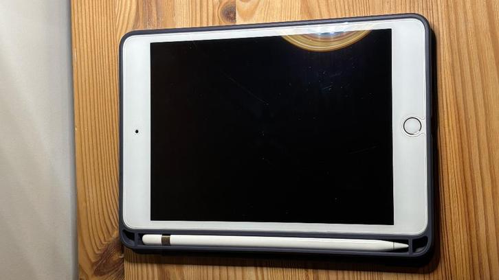 iPad mini 5, Rose, 64GB, WiFi, Computers en Software, Apple iPads, Gebruikt, Apple iPad Mini, Wi-Fi, 8 inch, 64 GB, Rose Goud