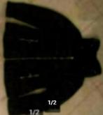 Doudoune noire XL chaude 'Pimkie', Ophalen of Verzenden, Gedragen, Maat 46/48 (XL) of groter, Zwart