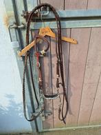 westernhoofstel met bit, Dieren en Toebehoren, Paarden en Pony's | Hoofdstellen en Tuigage, Ophalen of Verzenden