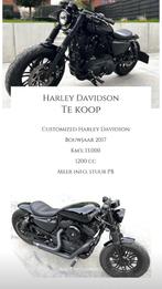 Customized Harley Davidson Forty-Eight, Chopper, Particulier, Meer dan 35 kW, 1200 cc