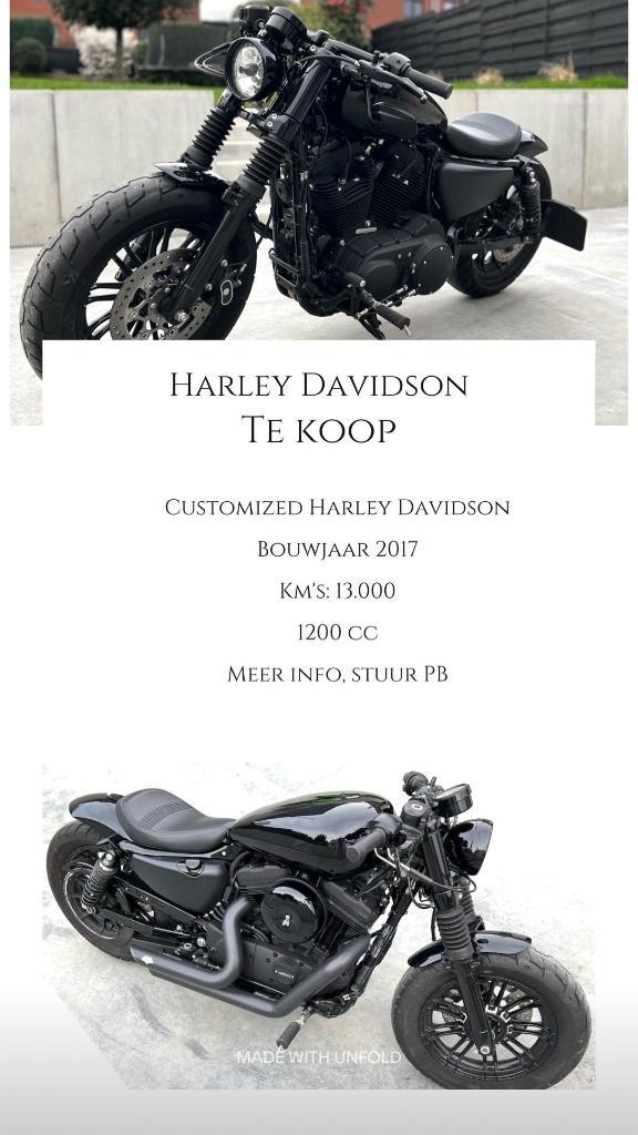 Customized Harley Davidson Forty-Eight, Motoren, Motoren | Harley-Davidson, Particulier, Chopper, meer dan 35 kW, Ophalen