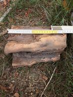 Taxus, Doe-het-zelf en Bouw, Hout en Planken, Ophalen, Overige typen, Nieuw, 50 mm of meer
