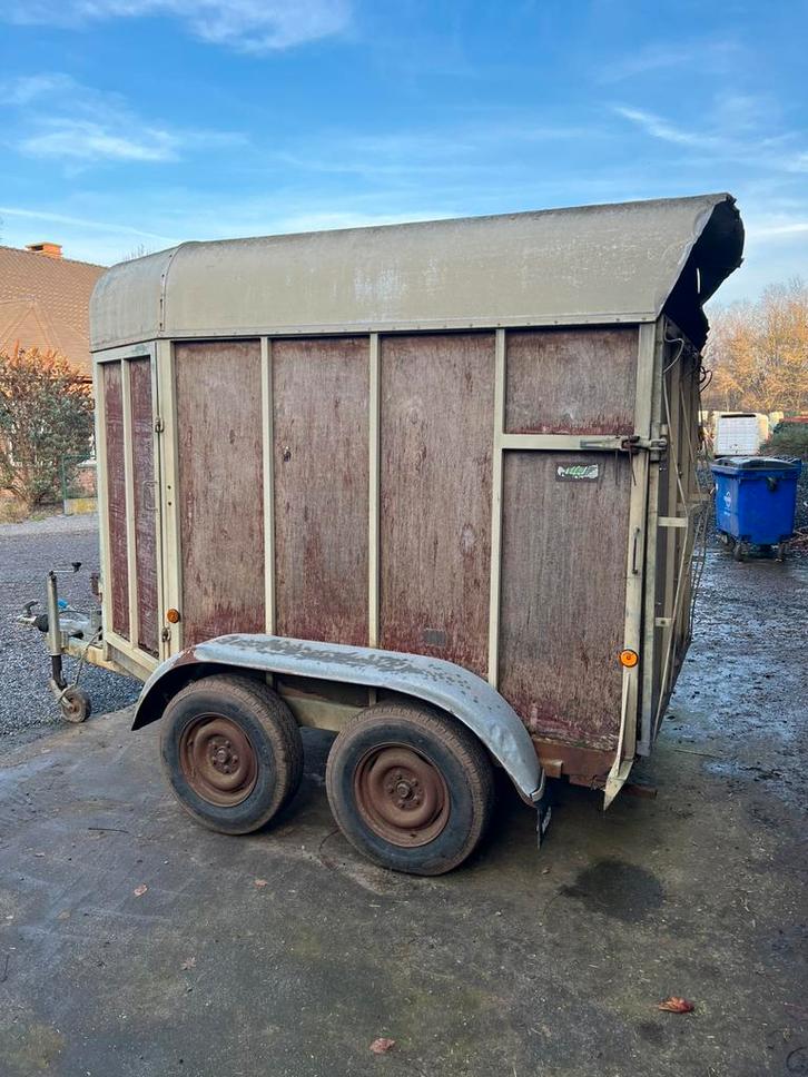 Vabo veetrailer, Animaux & Accessoires, Moutons, Chèvres & Cochons