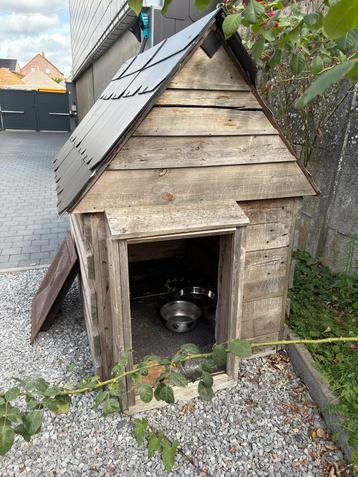 Niche piur chien, Enlèvement