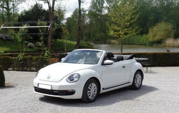 Location coccinelle beetle cabriolet pour mariage / shooting, Contacts & Messages, Événements