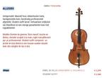 Cello te koop, Muziek en Instrumenten, Strijkinstrumenten | Cello's, Nieuw, 3/4-cello, Met koffer, Ophalen