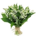 Plants de muguet,hémérocalle,yucca,iris,éllébore,.à repiquer, Ophalen of Verzenden, Overige soorten, Halfschaduw