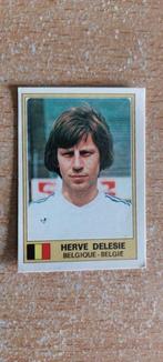 Sticker autocollant panini Delesie euro football  Vintage, Verzamelen, Ophalen of Verzenden, Gebruikt
