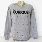 Pull Beautiful Circle Of Trust - 95 (L) € 15,-, Vêtements | Femmes, Comme neuf, Taille 42/44 (L), Envoi, Gris