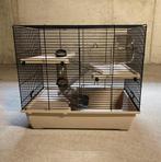 Hamsterkooi en toebehoren, Dieren en Toebehoren, Hamster