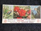 Vloeipapierkaart Cote d'Or Faunaflor Congo II 1=€5, 3=€10, Verzamelen, Ophalen of Verzenden, Nieuw, Natuur, Prent