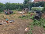 5 jonge ganzen, Dieren en Toebehoren, Pluimvee, Geslacht onbekend, Gans of Zwaan