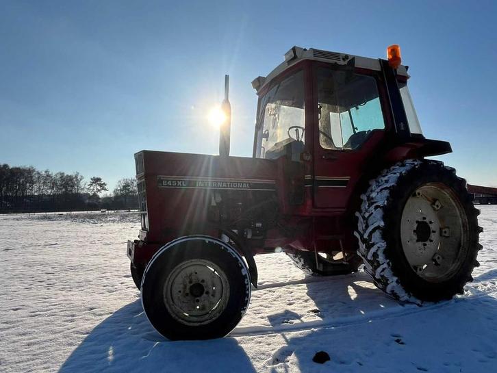 1981 International 845 XL tractor, Zakelijke goederen, Landbouw | Tractoren, Overige merken, Oldtimer