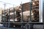 Goedkoop brandhout eik voor je houtstoof, 6 m³ ou plus, Troncs d'arbres, Envoi, Chêne