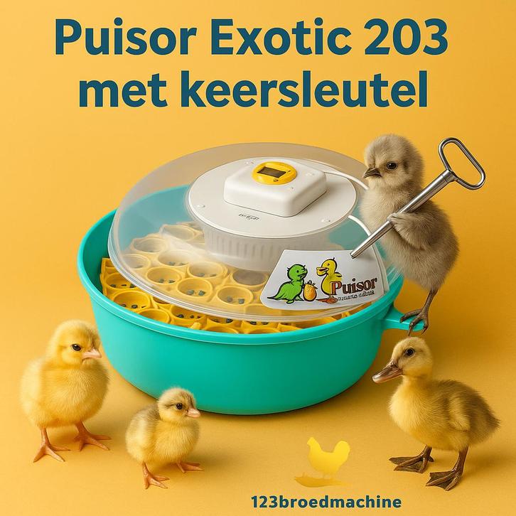 Puisor Exotic Extra 203 + œufs à éclore GRATUITS (Nouveau), Animaux & Accessoires, Volatiles | Accessoires, Neuf, Couveuse, Enlèvement ou Envoi