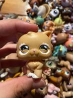 petshop chat persan, Enlèvement ou Envoi, Comme neuf
