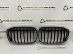 Calandre d'un BMW X1, -, 3 mois de garantie, Utilisé, -