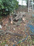 Gratis in Harelbeke, Tuin en Terras, Ophalen