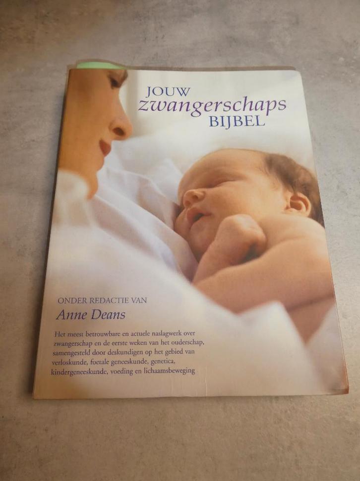Jouw zwangerschapsbijbel, Boeken, Zwangerschap en Opvoeding, Zo goed als nieuw, Zwangerschap en Bevalling, Ophalen of Verzenden