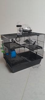 Kooi voor kleine knaagdieren met accessoires, Dieren en Toebehoren, Kooi, Gebruikt, Minder dan 75 cm, Hamster