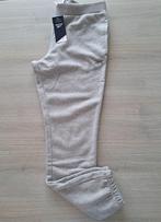 REEBOK Joggers (M), Overige typen, Nieuw, Reebok, Grijs