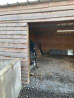 Houten schuur 9m lengte 5.5m breedt, Tuin en Terras, Ophalen, Zo goed als nieuw, Schuur