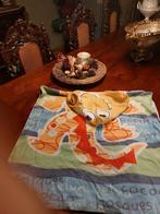 poncho, Kinderen en Baby's, Ophalen of Verzenden, Gebruikt